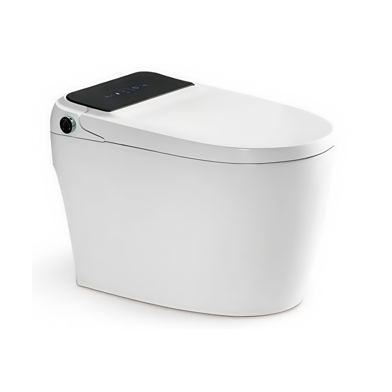 BOLESI smart toilet 2215C