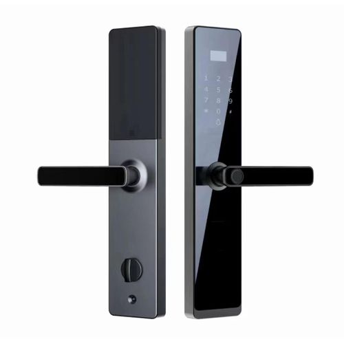 BOLESI Smart Lock G1F-N9